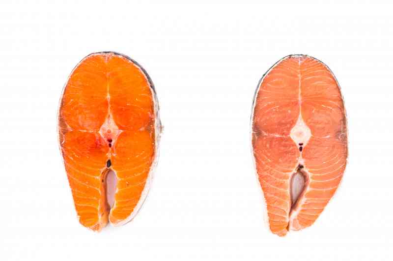 farmed salmon is one of the most toxic foods