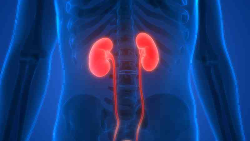kidney procedure